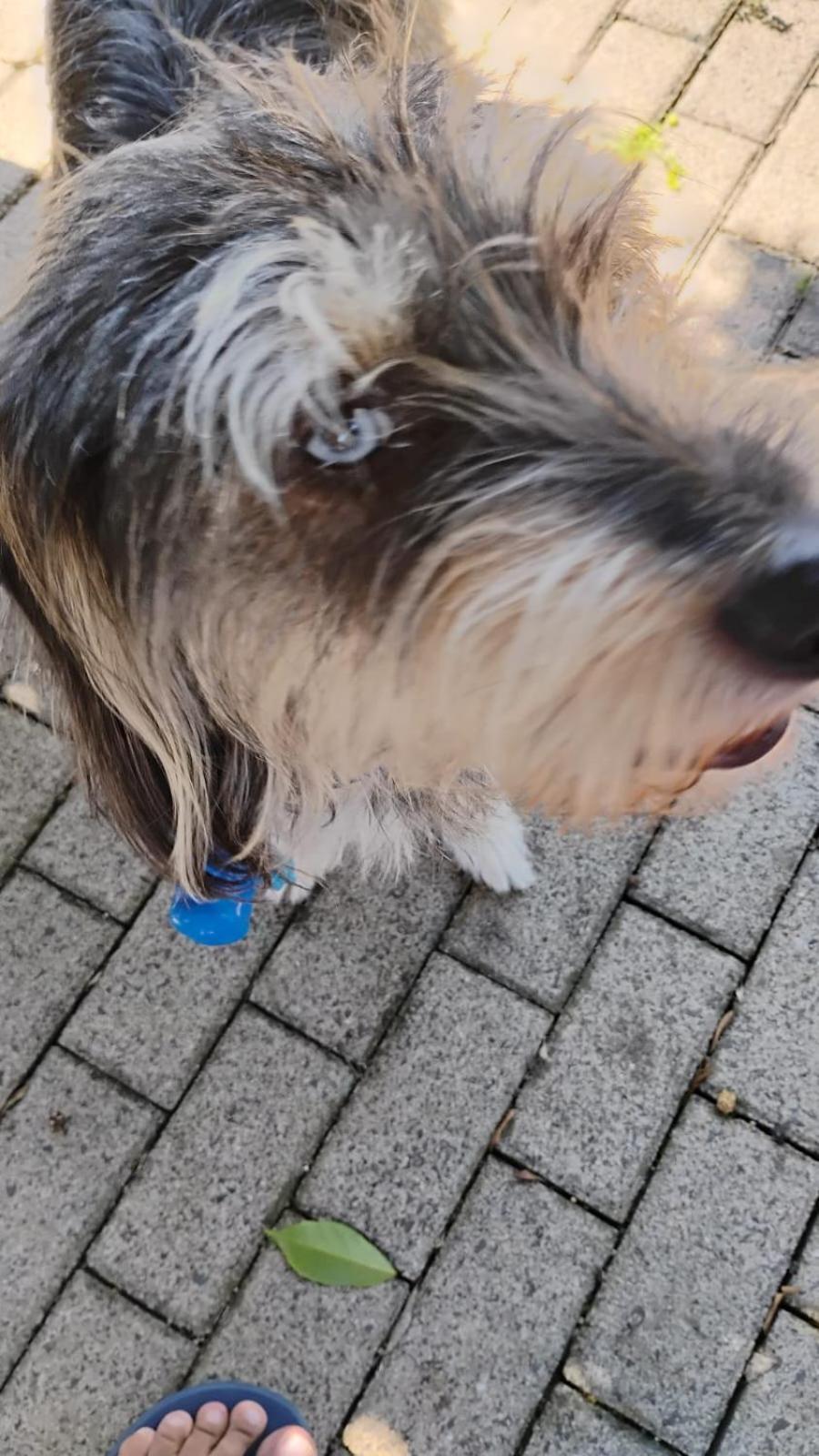 Pousada Das Pipas Osorio Esterno foto